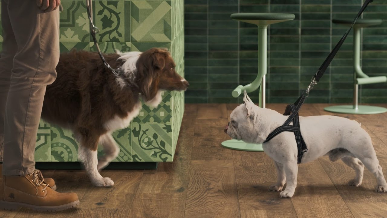 KERAMIK IST KRATZFEST UND LANGLEBIG