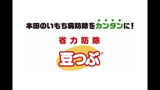 本田のいもち病防除をカンタンに！省力防除「水稲用本田殺菌剤 コラトップ豆つぶ」