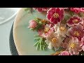 앙금플라워 코스모스 꽃짜기 쉬운방법 cosmos flower piping technique