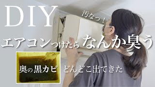 【エアコン掃除 】私でも出来た、かなりプロ並みなクリーニング　カビがどんどこ取れた