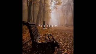 Halit Bilgiç - Yalnızlığa Bıçak Çektim