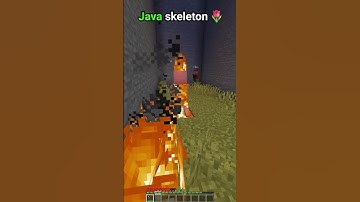 Java skeleton🌹 vs Bedrock skeleton💀  #minecraft