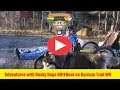 Adventures with Husky Dogs RUFFHour on Barnum Trail WV Part 1