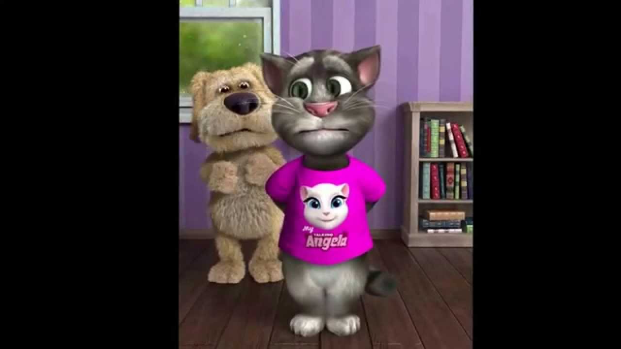 Tom le chat Titouan Tom YouTube