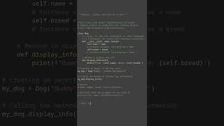 object representation #python #showcase