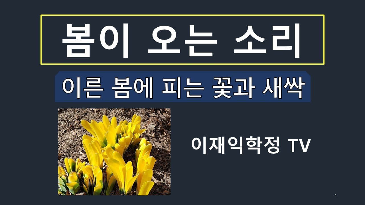 봄이 오는 소리