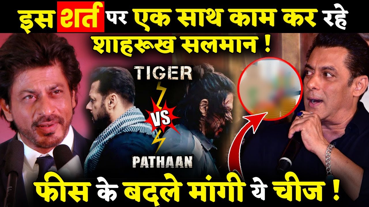 Tiger Vs Pathaan: Shahrukh Khan And Salman Khan To Get _% Profit Share ...