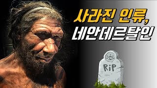 네안데르탈인은 왜 멸종했을까?│우리 몸에 흐르는 네안데르탈인의 피!