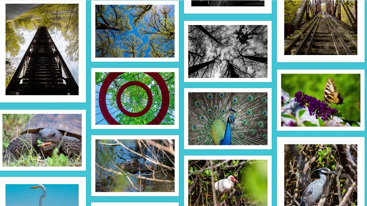 ALEMedia Online Print Shop Promo