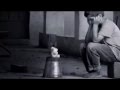 دخلك يا طير_ رائعة