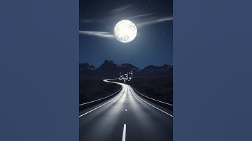 سورة الانفال بصوت الشيخ بدر التركي