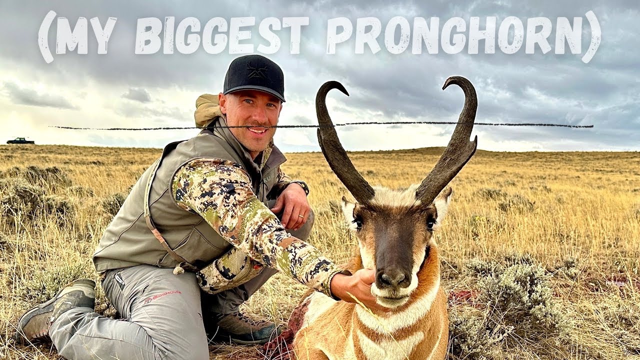 wyoming-pronghorn-antelope-hunt-let-s-go-youtube