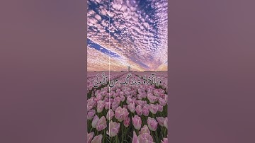 سوره الضحى / عبد الباسط عبد الصمد