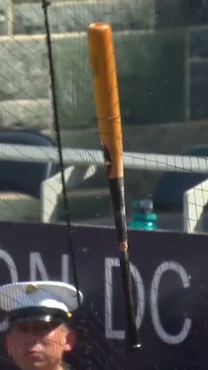 ozzy vs bat