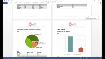 5 - Report Generation