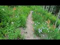 Hidden Treasure - The Unknown Trail