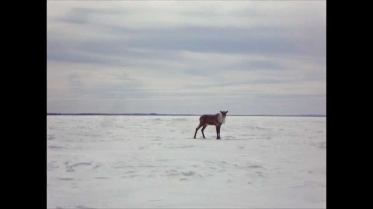 Great day out on Gods Lake