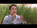 Andrew Ng: How can AI create value for businesses right now?