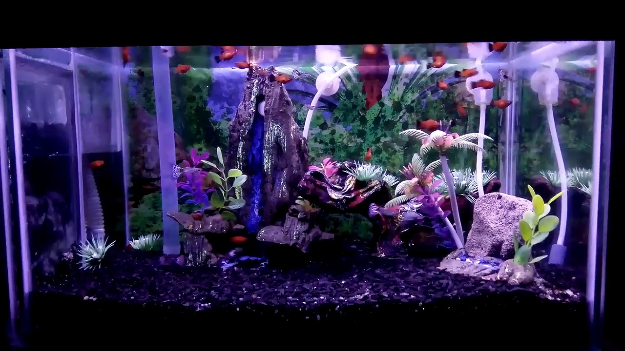  Lampu LED aquarium mini YouTube