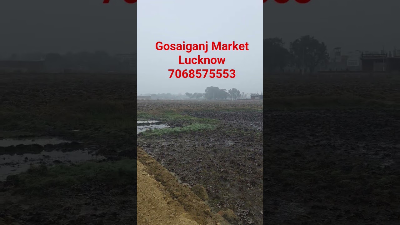 Plot for sale in Sultanpur Road Lucknow 