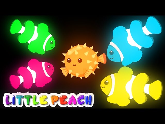 Baby Sensory | FUNKY FISH | Fun Animation with Music class=