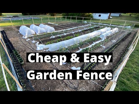 cheap-and-easy-garden-fence--k