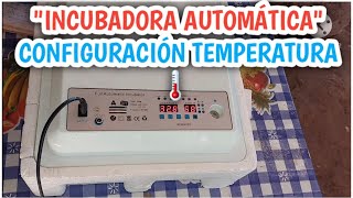 Como incubar huevos de gallina en incubadora automatica