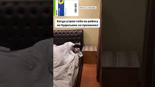 Быстро встань с кровати ! #trend #юмор #подпишись #прикол #мем #жиза #like #memes #funny #дуэт #топ