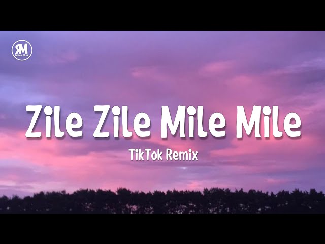 Zile Zile Mile Mile TikTok Remix Song class=