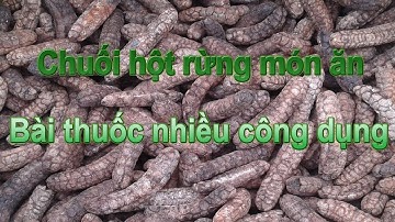 Chuối hột rừng món ăn - bài thuốc nhiều công dụng