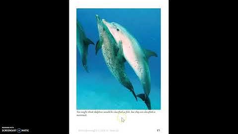 Skills Unit 2: Lesson 8