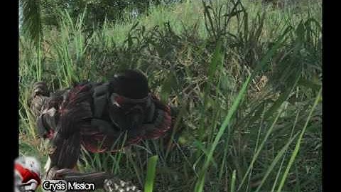 Crysis Multiplayer Guide