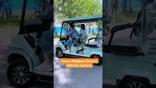 Texas Minibus Electric Vehicle FactoryFresh and eye-catching colors, do you like this kind of car