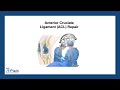 Anterior Cruciate Ligament (ACL) Repair