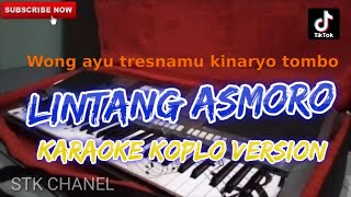 LINTANG ASMARA (WONG AYU TRESNAMU KINARYO TOMBO) KARAOKE DANGDUT KOPLO STK CHANEL