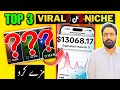 Top 3 Best Viral Niches on Tiktok | best tiktok niches