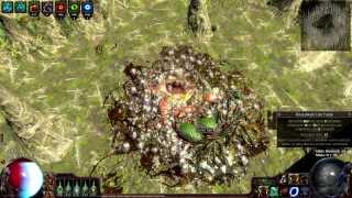 Path Of Exile : Insane  Jungle Valley Map