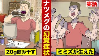 【実話】ナツメグの幻覚効果。一気飲みで...体からミミズが生えた。