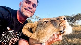 Helping My LION Best Friend | The Lion Whisperer