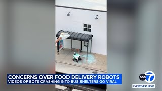Debate over food delivery robots in Chicago, videos of mishaps going viral