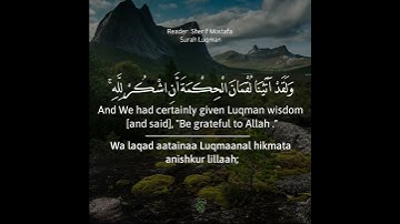( هذا خلق الله فأروني ماذا خلق الذين من دونه ) من سورة لقمان - القارئ شريف مصطفى - Surah Luqman