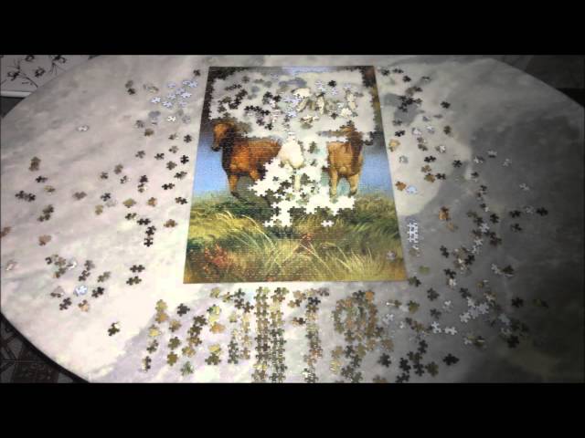 Puzzle 1500 peças Cavalos Selvagens - Loja Grow