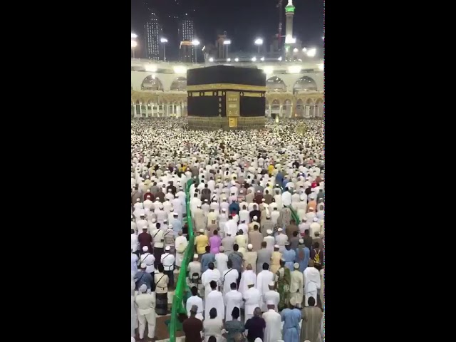تلاوة عذبة رائعة من فجر 3-1-1438هـ | من سورة الأعراف
