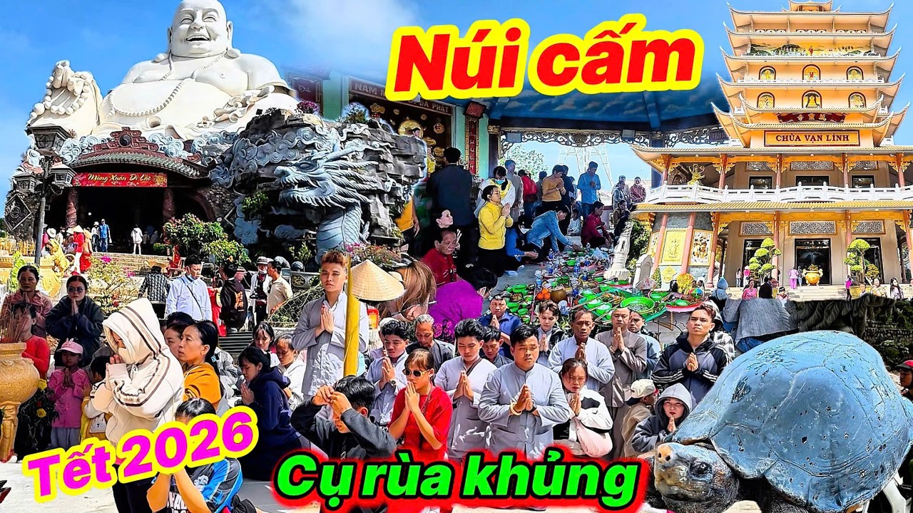 Xuất hiện Cụ Rùa khủng ở NÚI CẤM, ĐỈNH CAO Linh Thiêng Của An Giang 2026