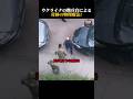 ウクライナの徴兵官による奇跡の物理療法?