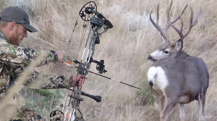 Bow Hunting Mule DeerPublic Land Spot and Stalk with Dan Pickar