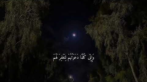 سوره نوح(5-7) القارئ:- شريف مصطفئ