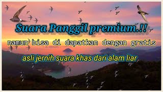 SP.PREMIUM REVISI ALAM LIAR | SUARA PANGGIL WALET SUPER RESPON
