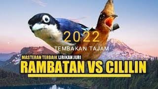 Masteran Terbaik Cililin kombinasi Rambatan Audio Jernih #suara#masteran#muraibatu