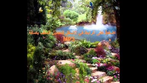 سورة الحاقة للشيخ هاني الرفاعي بصوت جميل جدا
